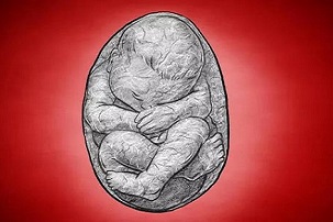 在母亲体内迷路数十年，有些胎儿打算永远长住下去！