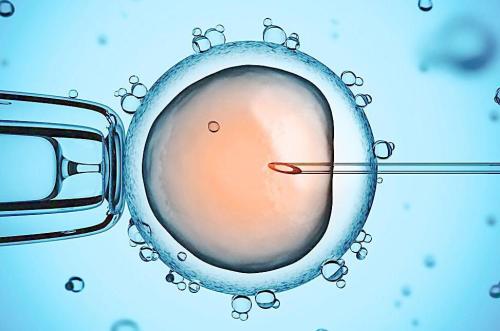 可以通过一次移植多个胚胎来提高试管婴儿成功率吗？—医羽自助