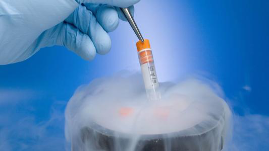 胚胎冷冻技术给台湾试管婴儿带来了什么？