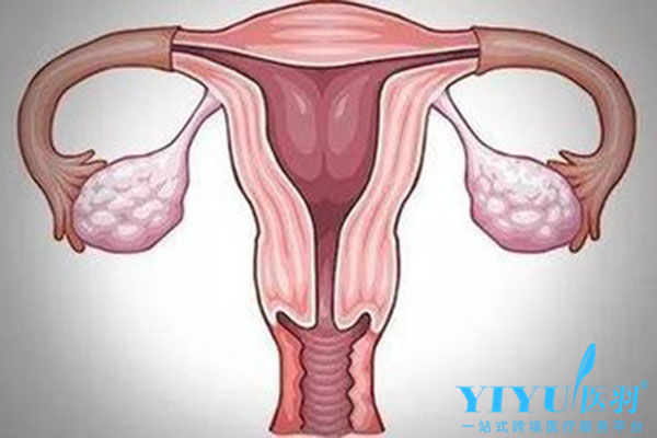 试管婴儿移植时子宫内膜需多厚？你对子宫内膜的了解有多少？