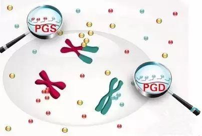 什么是试管婴儿PGD、PGS、NGS、ACGH、FISH？