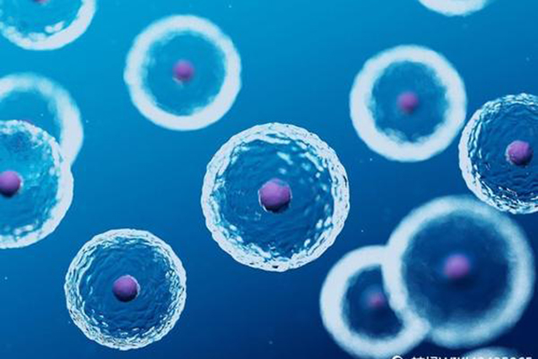试管期间如何保证卵泡正常发育呢？