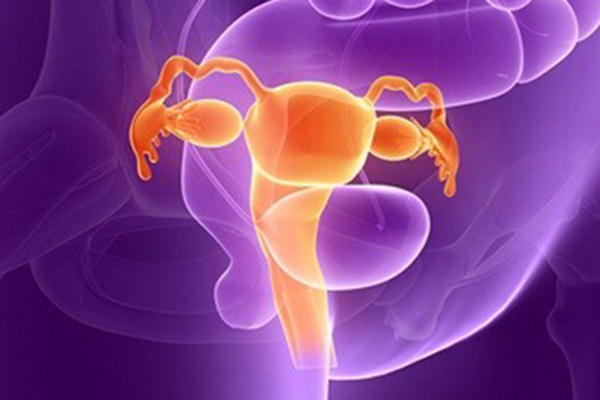 子宫内膜的厚薄对试管婴儿有哪些影响？内膜薄移植能成功吗？