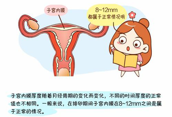 子宫内膜厚度多少正常？其实内膜厚度是会周期性变化的