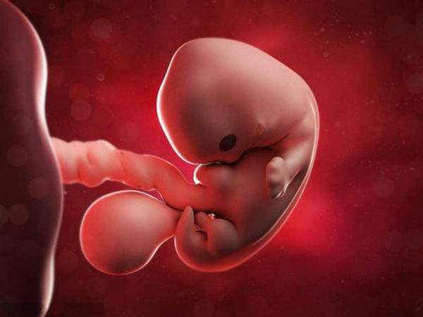 第25期直播|泰国试管医生DEW讲解卵巢早衰如何提高试管成功率？