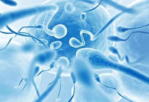 做试管婴儿过程中是如何对精液进行优化处理的？