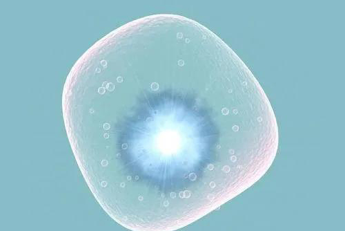 做试管婴儿过程中，怎么有针对性的获取优质卵泡？