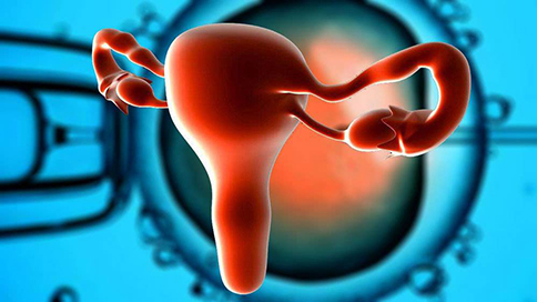 哪些指标说明你卵巢功能下降？怎么调理?