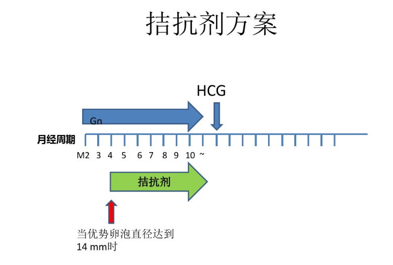 详细解读试管婴儿各大促排方案！看看你更适合哪一种促排方案