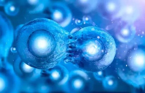 治疗卵巢早衰黑科技——干细胞治疗！