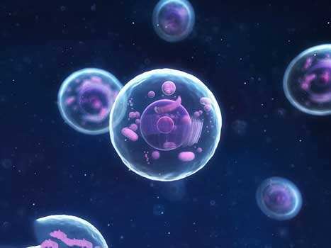 医羽：间充质干细胞助力卵巢早衰女性的妈妈梦！