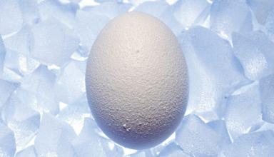冷冻卵子技术安全吗？海外冻卵需要多少钱？