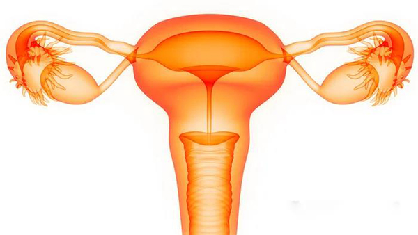 医羽：输卵管一侧切除一侧粘黏，如何才能成功好孕？