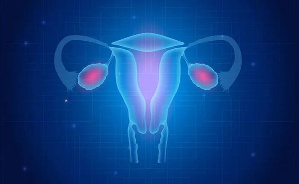 如何科学保养子宫内膜，以防止习惯性流产？