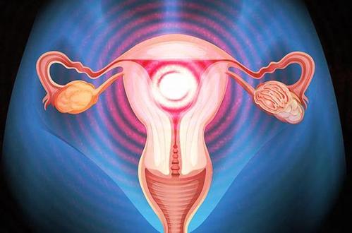 子宫内膜薄对试管治疗有何影响？
