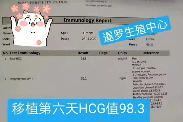 九月赴泰，35岁做三代试管胚胎移植成功着床安全回国！