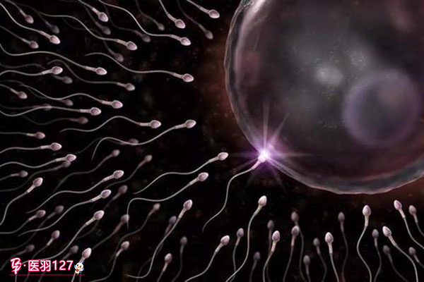 精子活力差怎么调理？可以通过试管助孕吗？