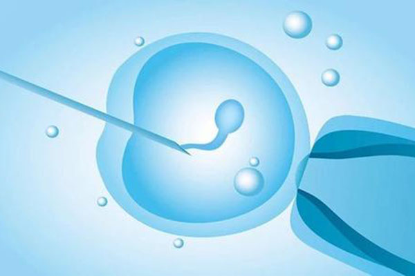 做试管婴儿为什么出现精子卵子不结合？该怎么办呢？