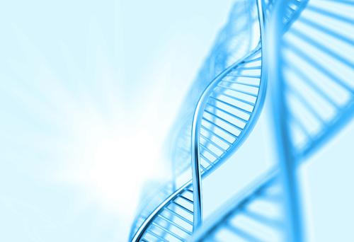 染色体平衡异位，单基因遗传病怎么实现优生优育？