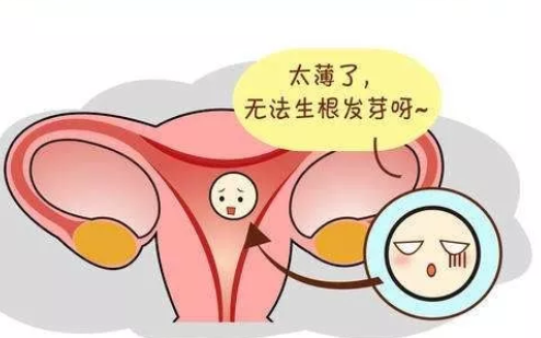 子宫内膜薄会影响试管婴儿移植结果吗？怎么去调理？