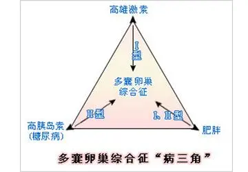 多囊肥胖会致不孕，要减减减！真的很难吗？