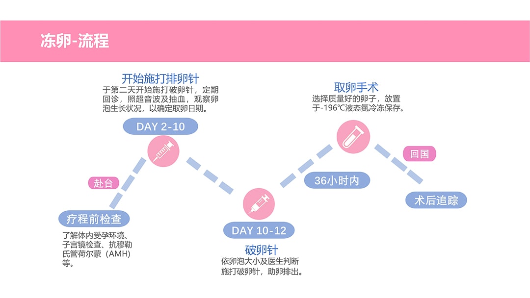 详情介绍