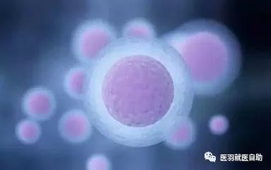 基础卵泡少能进入台湾试管婴儿自助疗程吗？