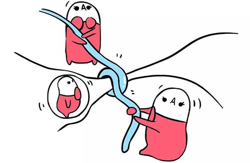 试管问答|医生为什么让我放弃鲜胚移植？？