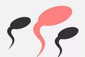 想要改善精子质量？这里有妙招！