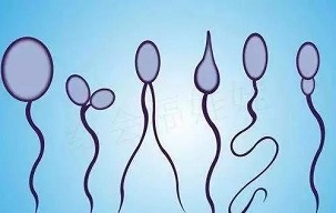有生育“男”题怎么办？泰国试管婴儿一招搞定！