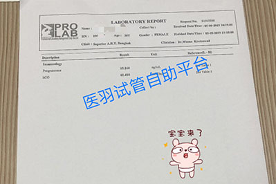 30岁年轻漂亮的Z姐二胎求子，泰国Superior ART医院帮其实现愿望