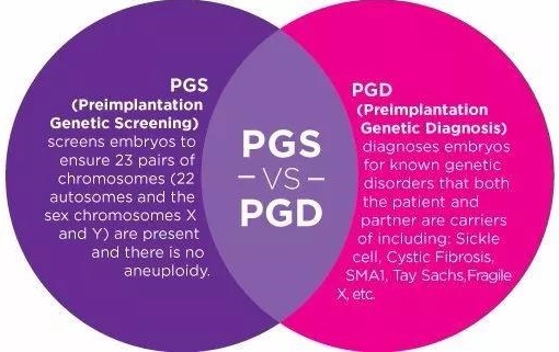 都是第三代试管婴儿PGD与PGS究竟有什么区别？医羽自助平台