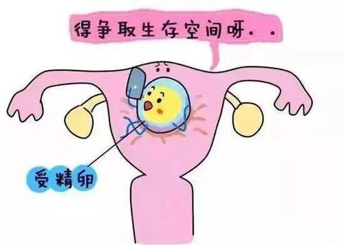 客户自述：分享我总结的泰国试管婴儿心得！—医羽自助