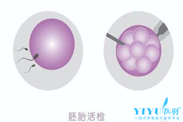 不婚族去泰国试管婴儿流程是怎么样的呢？—医羽自助