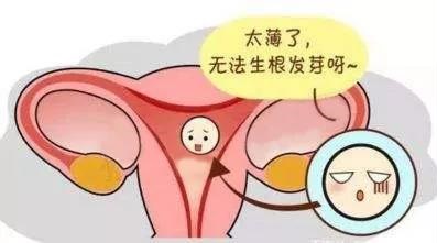 移植前，子宫内膜薄如何调理？
