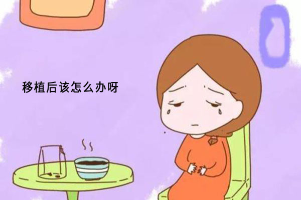 泰国试管婴儿移植后需要注意什么？