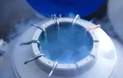 31岁阚清子：我选择去冻卵，这是唯一可以给自己保障的！