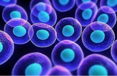 医羽：干细胞抗衰老，活化细胞实现返老还童！